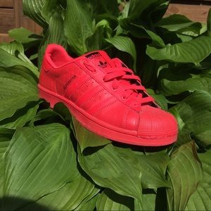 red adidas superstars